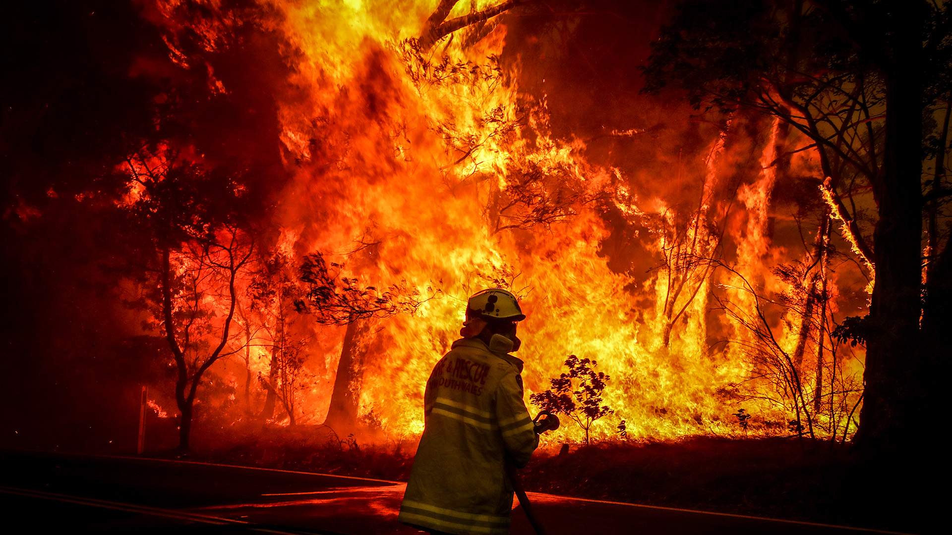 Друг познается в огне: кто спасает Австралию от пожаров | Статьи | Известия