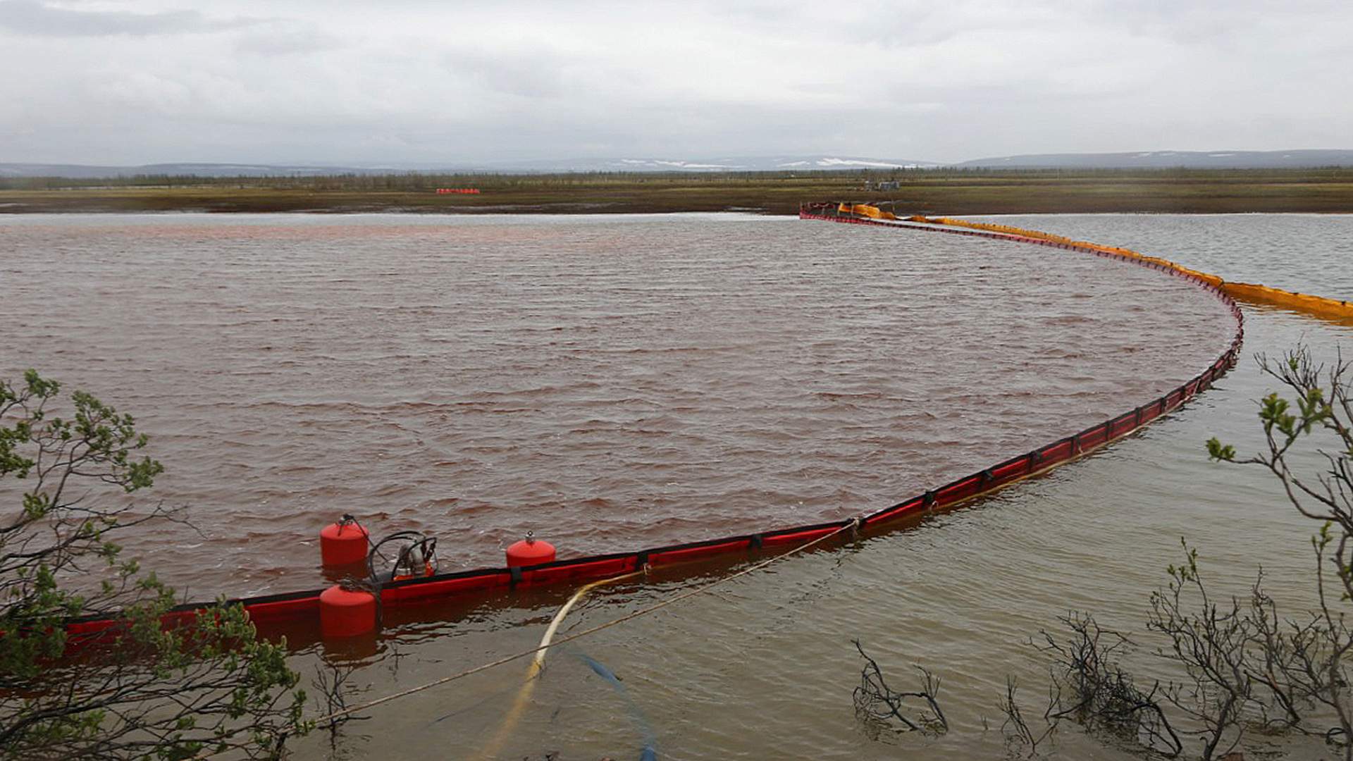 Вниз по течению: дойдет ли грязная вода из Норильска до Арктического  заповедника | Статьи | Известия