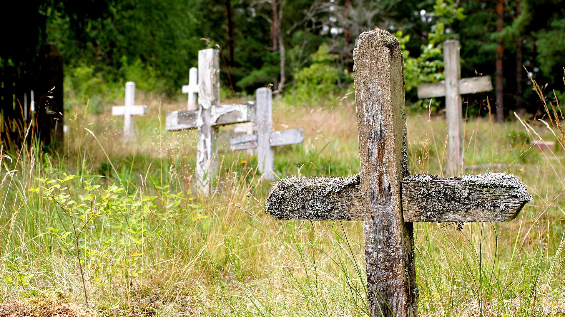 Гроб в траншее: как хоронят невостребованные тела | Статьи | Известия