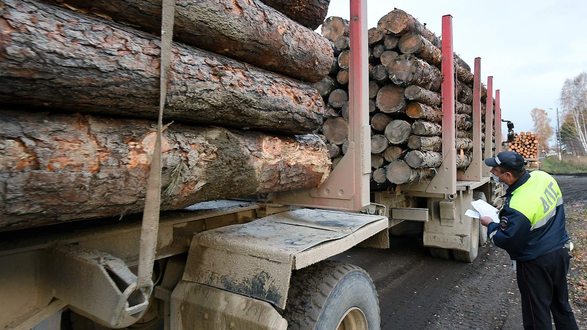 Вывозка древесины