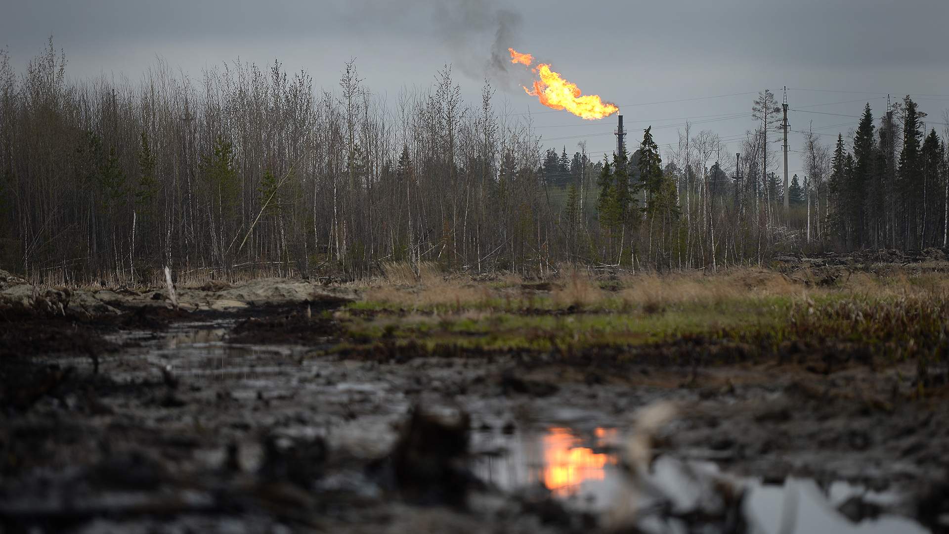 Загрязнение воздуха нефтью. Разлив нефти в ХМАО. Экология нефть ХМАО. Лес Сибирь разлив нефти. Разлив нефти в Западной Сибири.