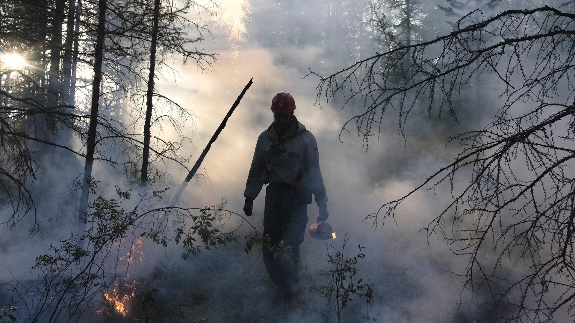 Сколько нагорело: пожары 2021 года могут побить антирекорд XXI века |  Статьи | Известия