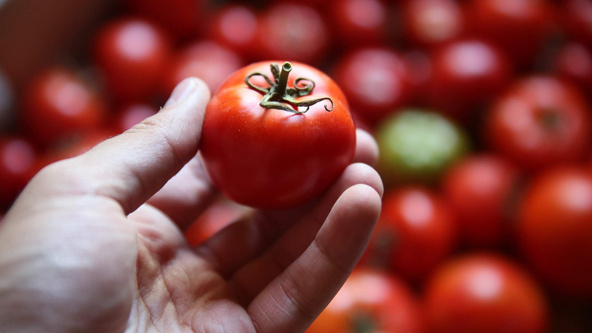 Как готовить овощи с максимальной пользой