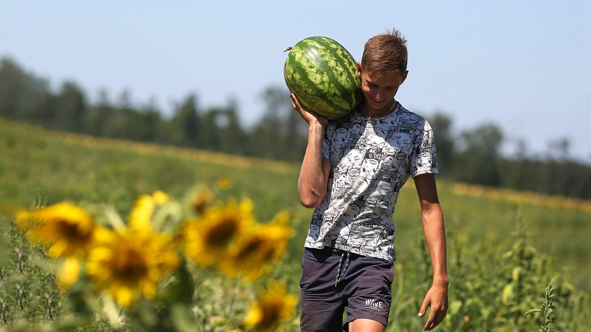 Отравления арбузами: причины, симптомы, как выбрать продукт