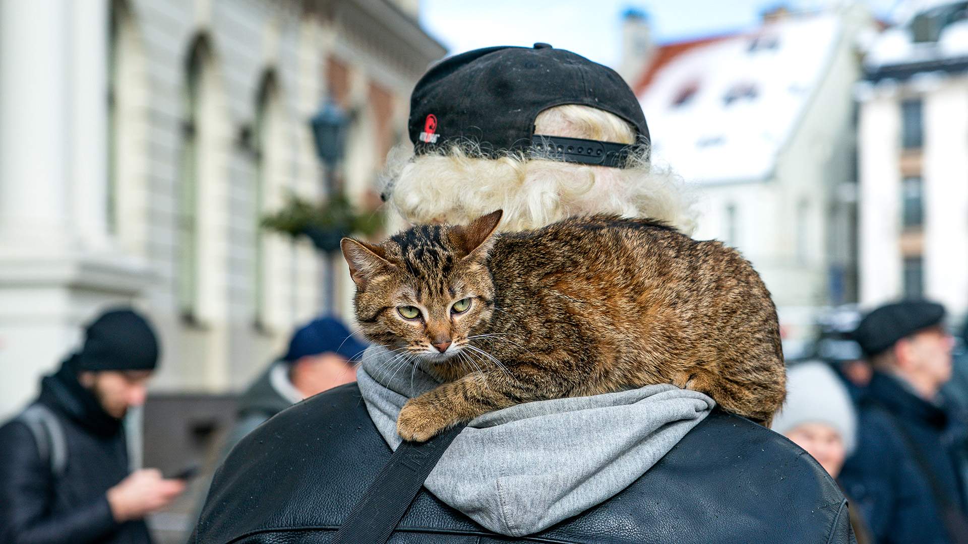 мужчины из латвии