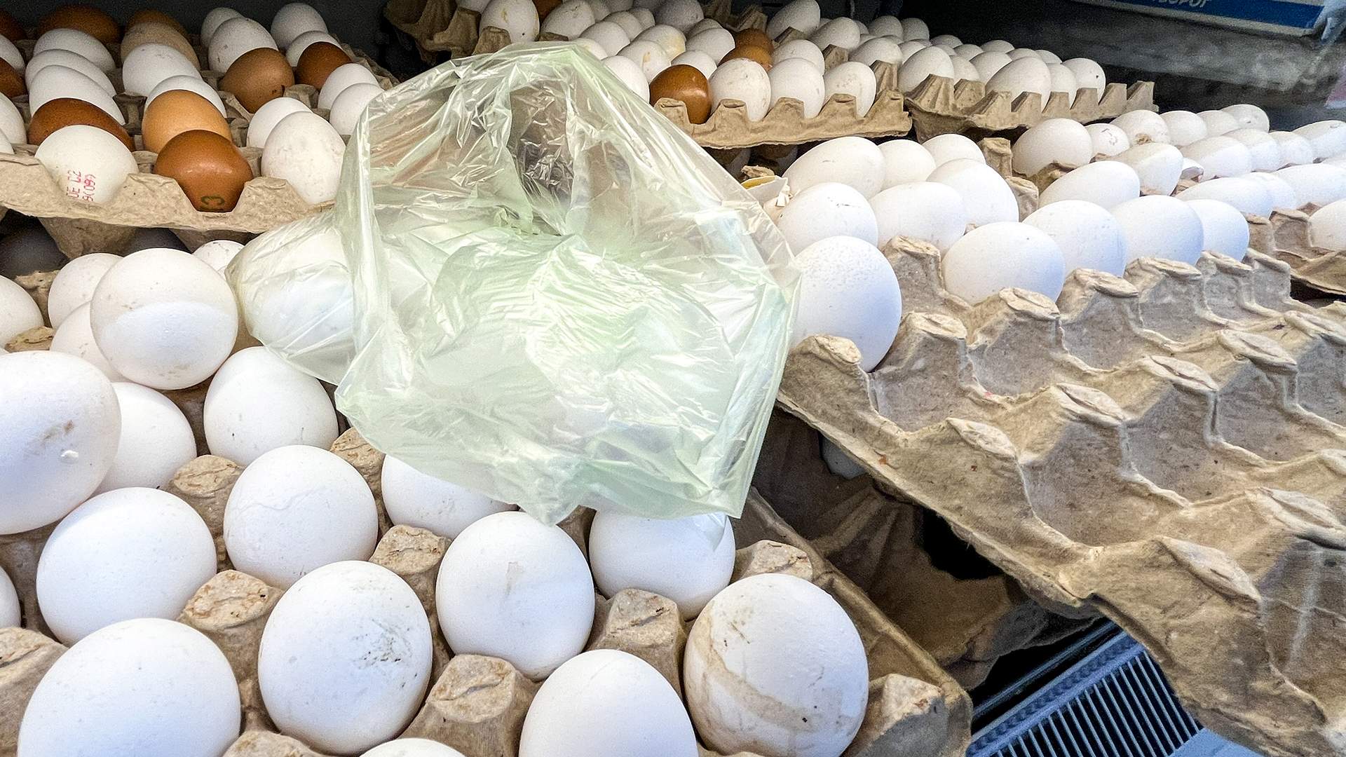 Путин извинился перед россиянами за рост цен на куриные яйца