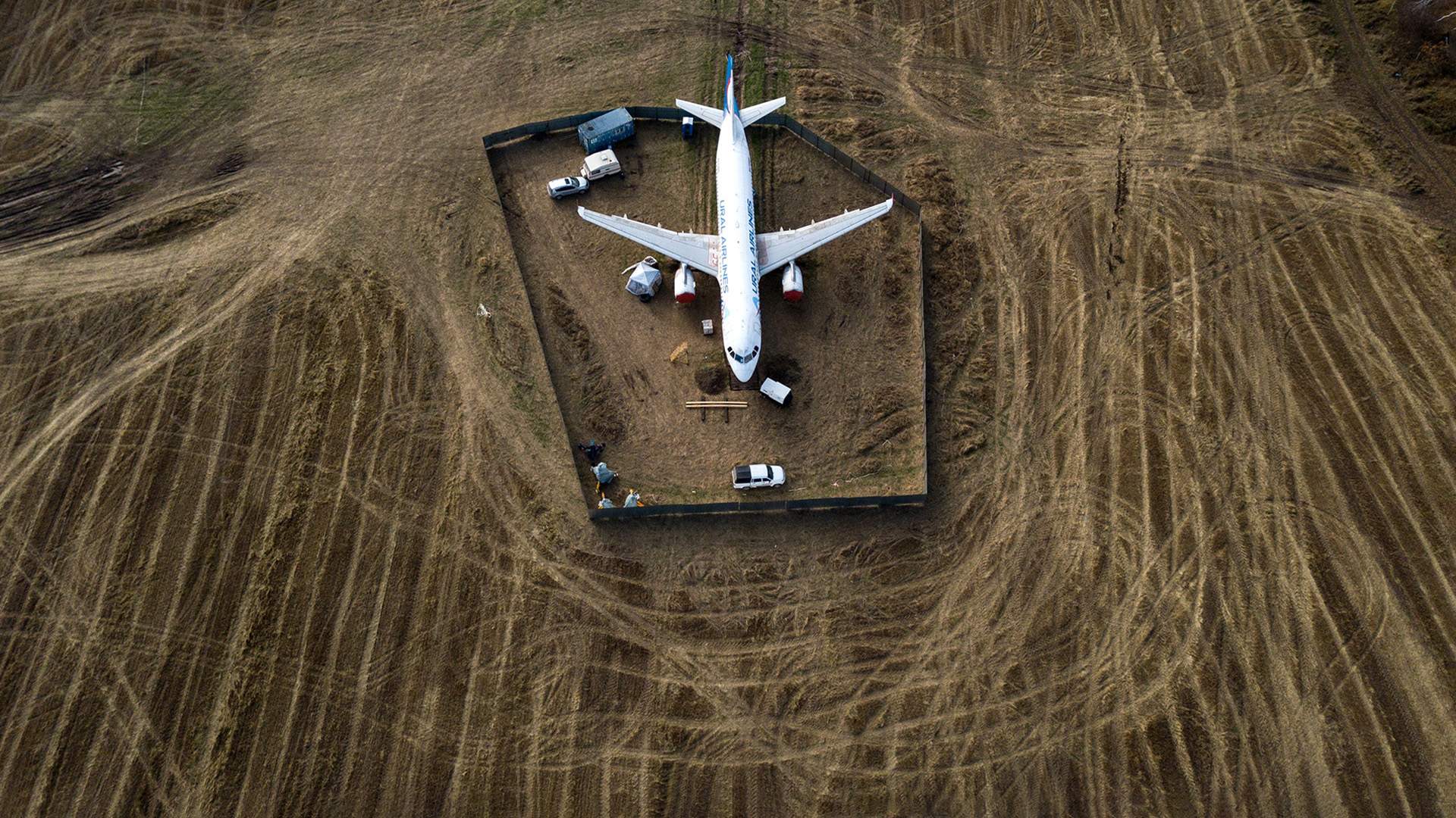 Аварийная посадка самолета в пшеничном поле, самолет Уральских авиалиний  в пшеничном поле