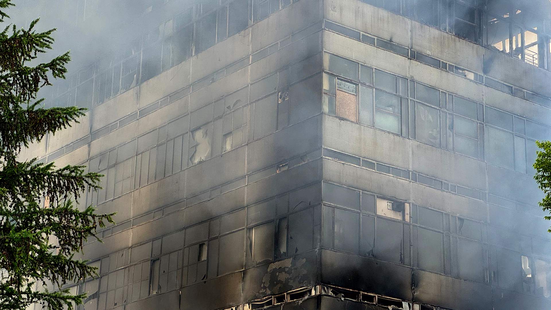 Пожар во Фрязино: в огне погибли люди | Статьи | Известия