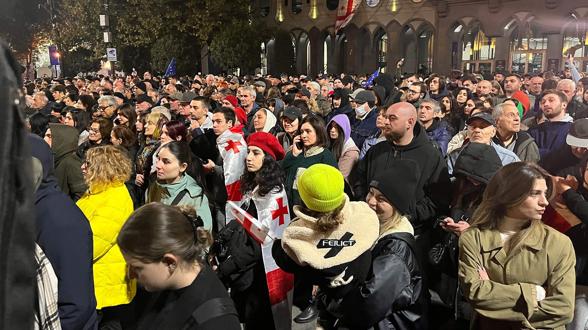 Декларация протеста: чем закончился первый день митингов в Грузии | Статьи  | Известия