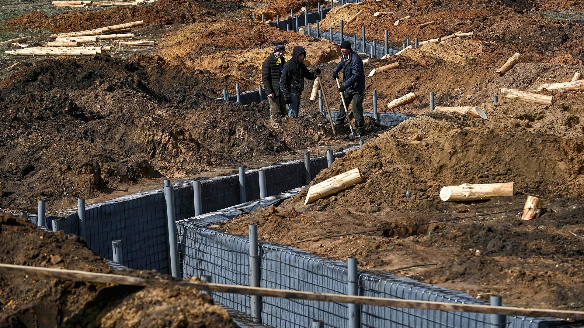 Үздік порно фильм үшін Оскар