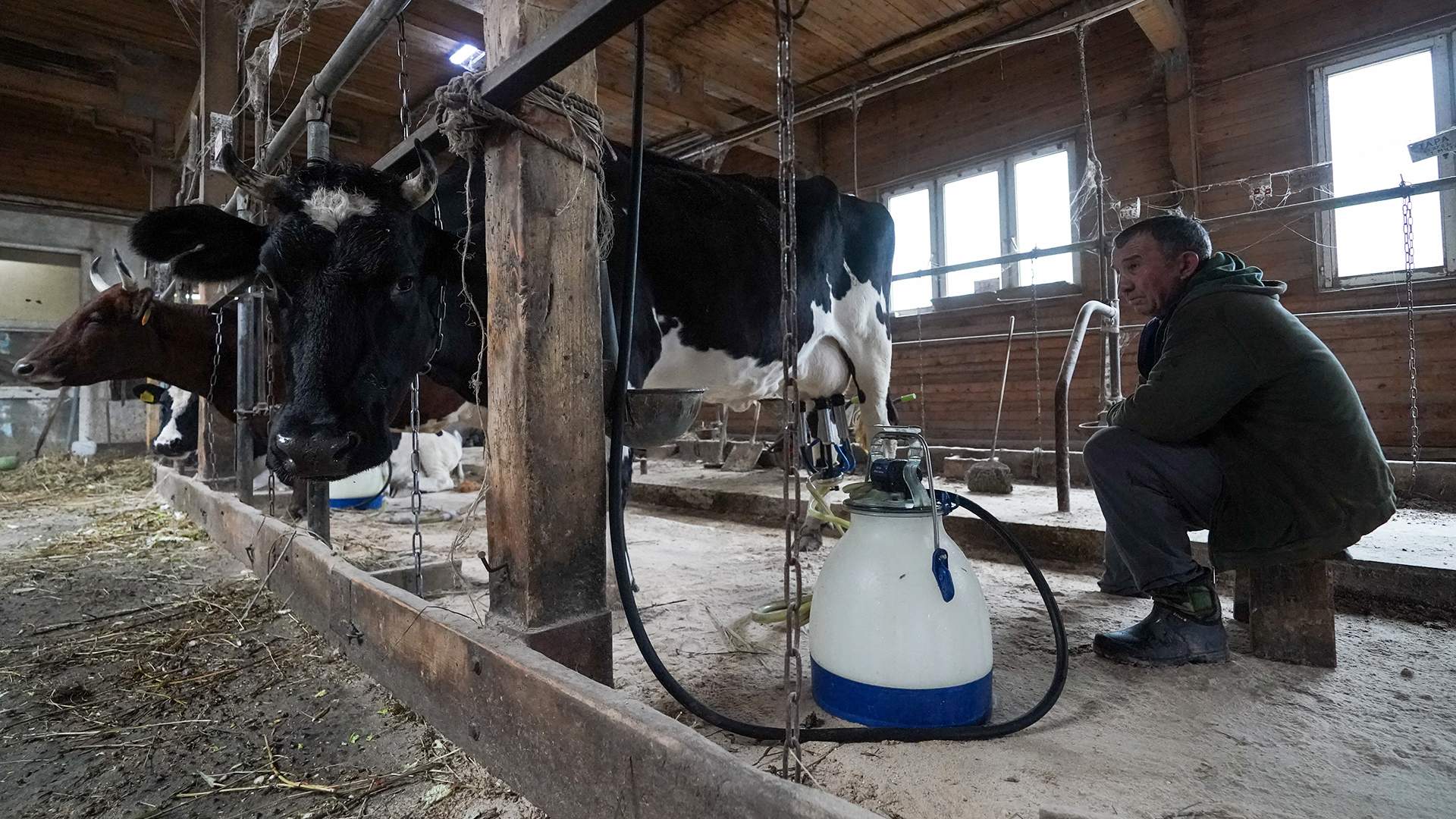 Heavy codes: farmers asked the Ministry of Industry and Trade to cancel ...