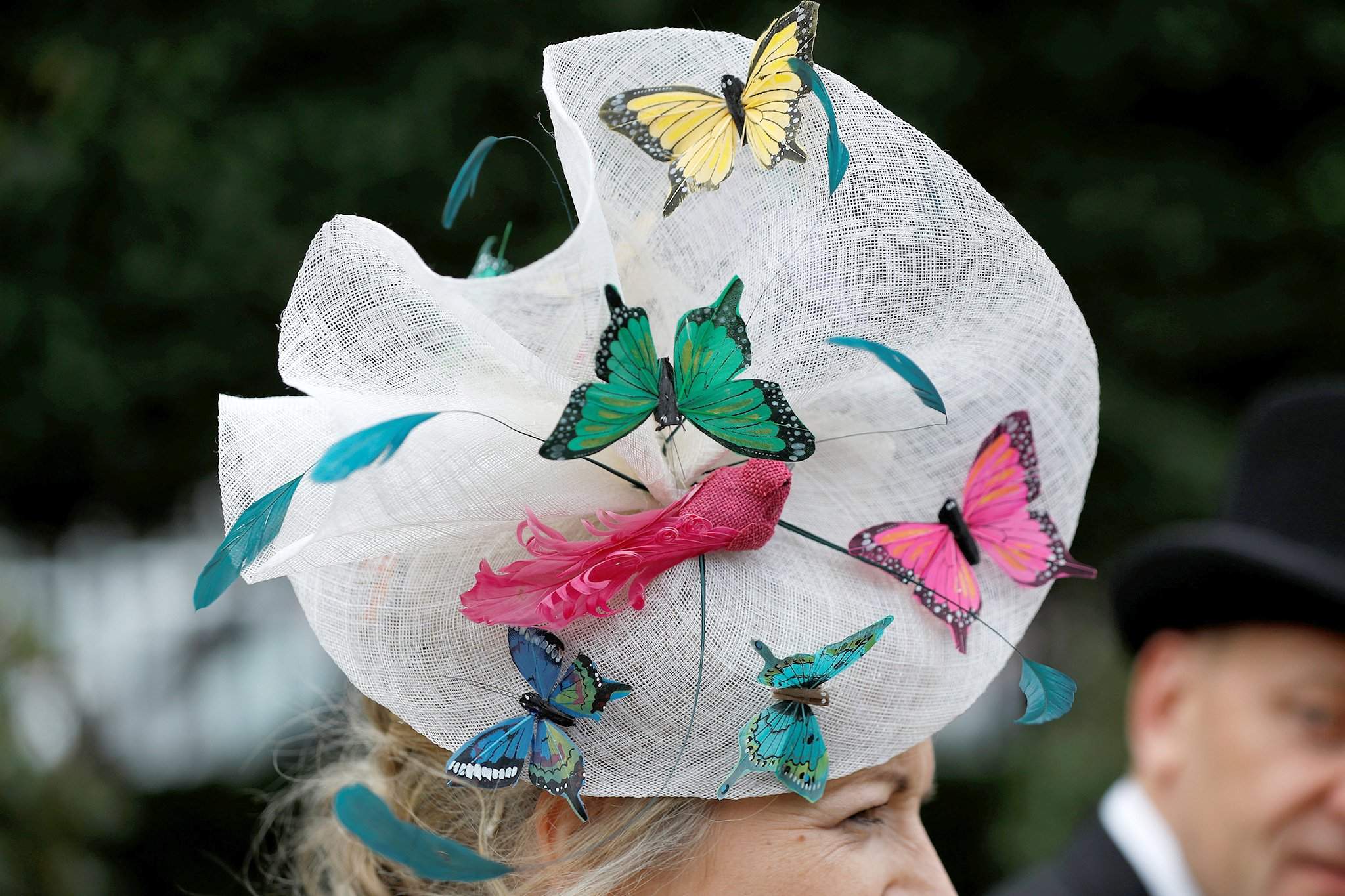 Летела шляпа. Головной убор бабочки. Оригинальная шляпа. Шляпа с бабочками. Необычные шляпы.