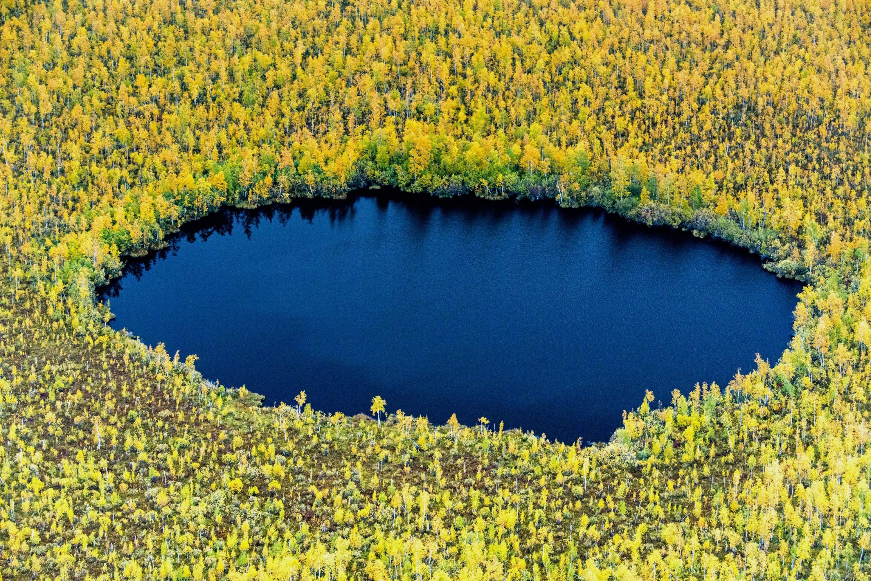 Через какое озеро была. Озеро Изъяр. Озера ХМАО. Круглое озеро Брянск. Озера Ханты Мансийска.