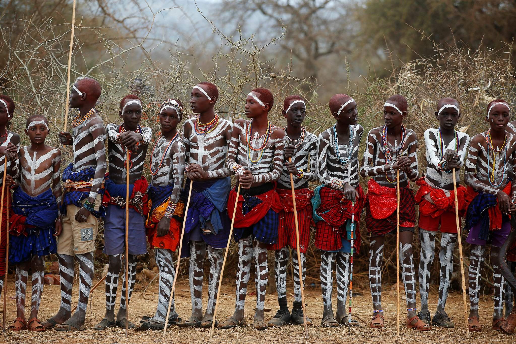 Масаи племя. Кения Масаи. Африканское племя Масаи.