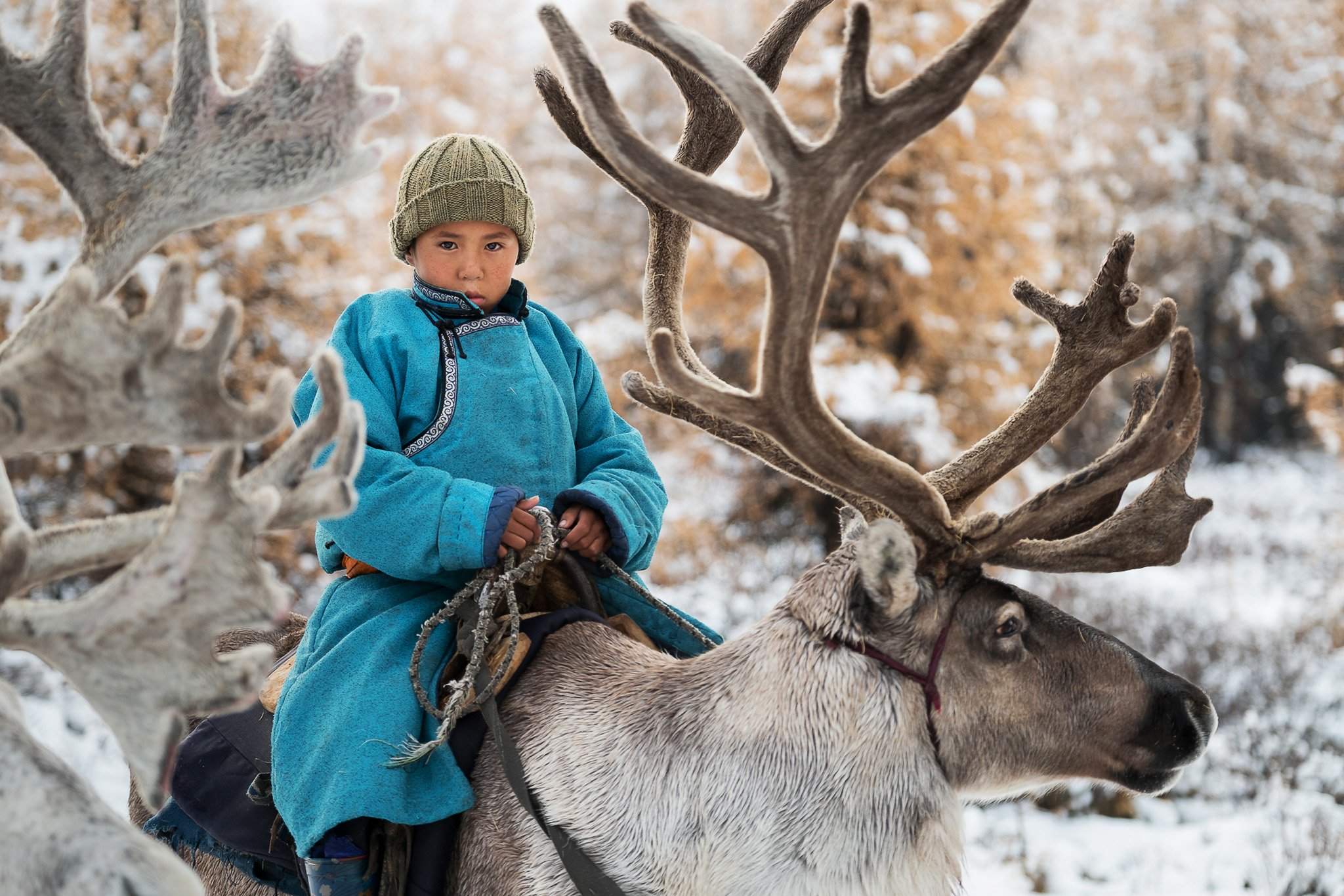 Люди тайги: фотопроект о жизни кочевников-оленеводов из Монголии |  Фотогалереи | Известия