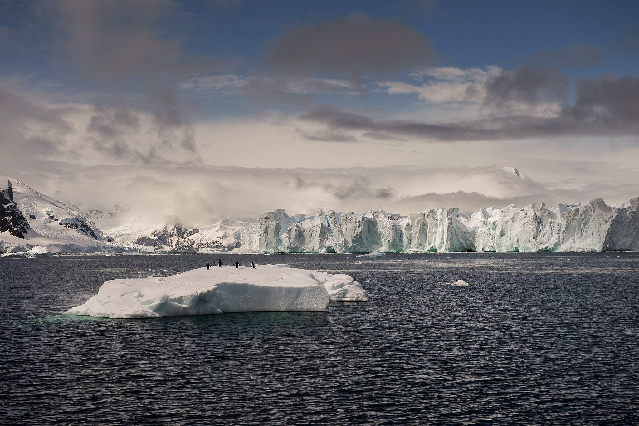 Южный океан г. Южный Ледовитый океан. Южный океан Ледовитый океан. Южный антарктический океан. Антарктида Гренландия Арктика Северный Ледовитый океан.