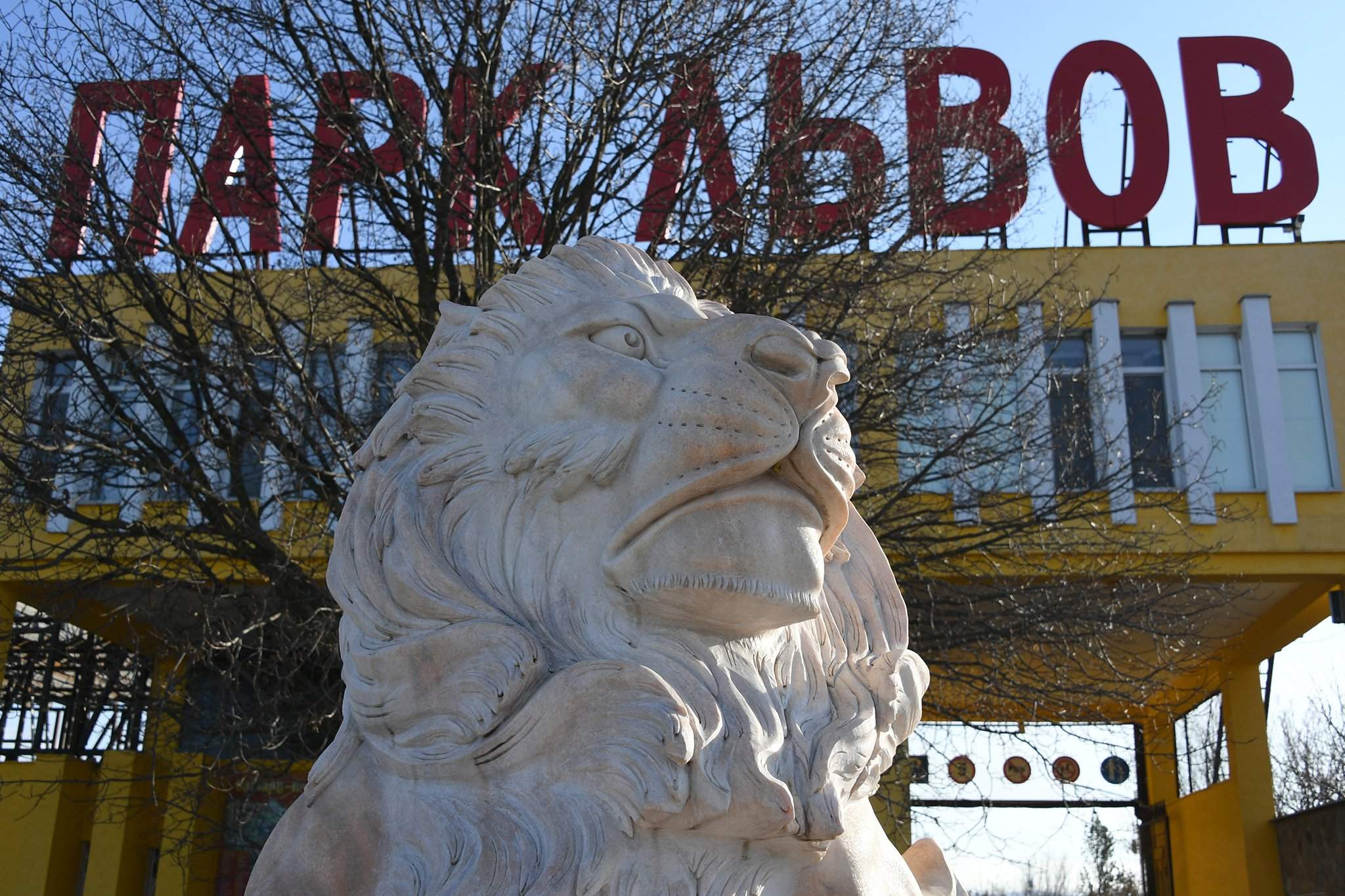 Гостиница в парке тайган. Гостиница в парке львом Тайган. Парк Тайган Крым директор.