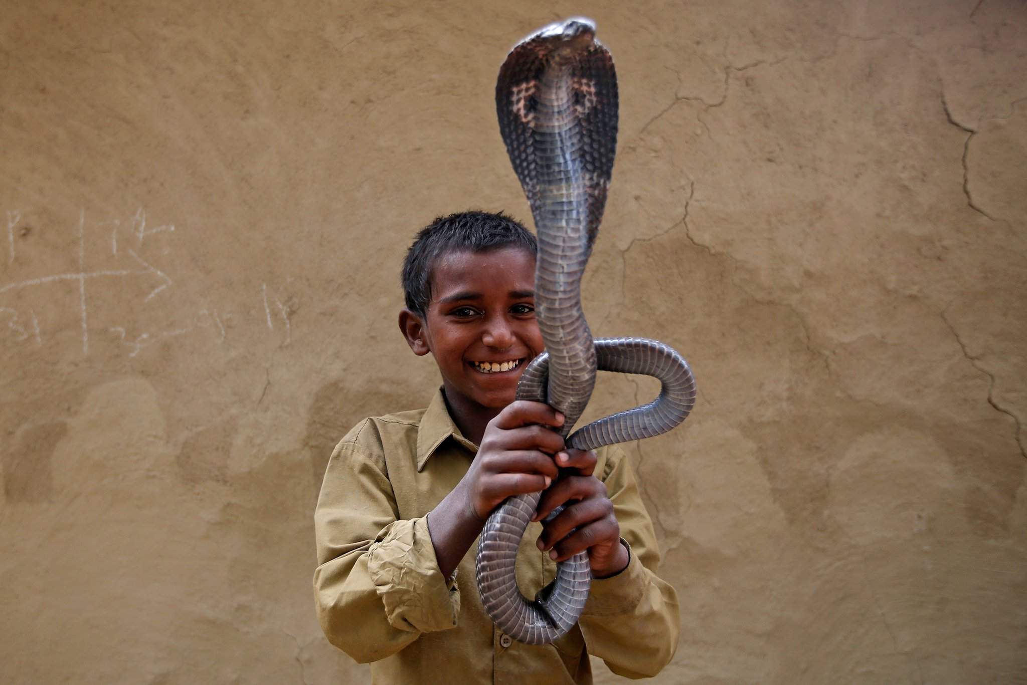Заклинатели змей в Индии