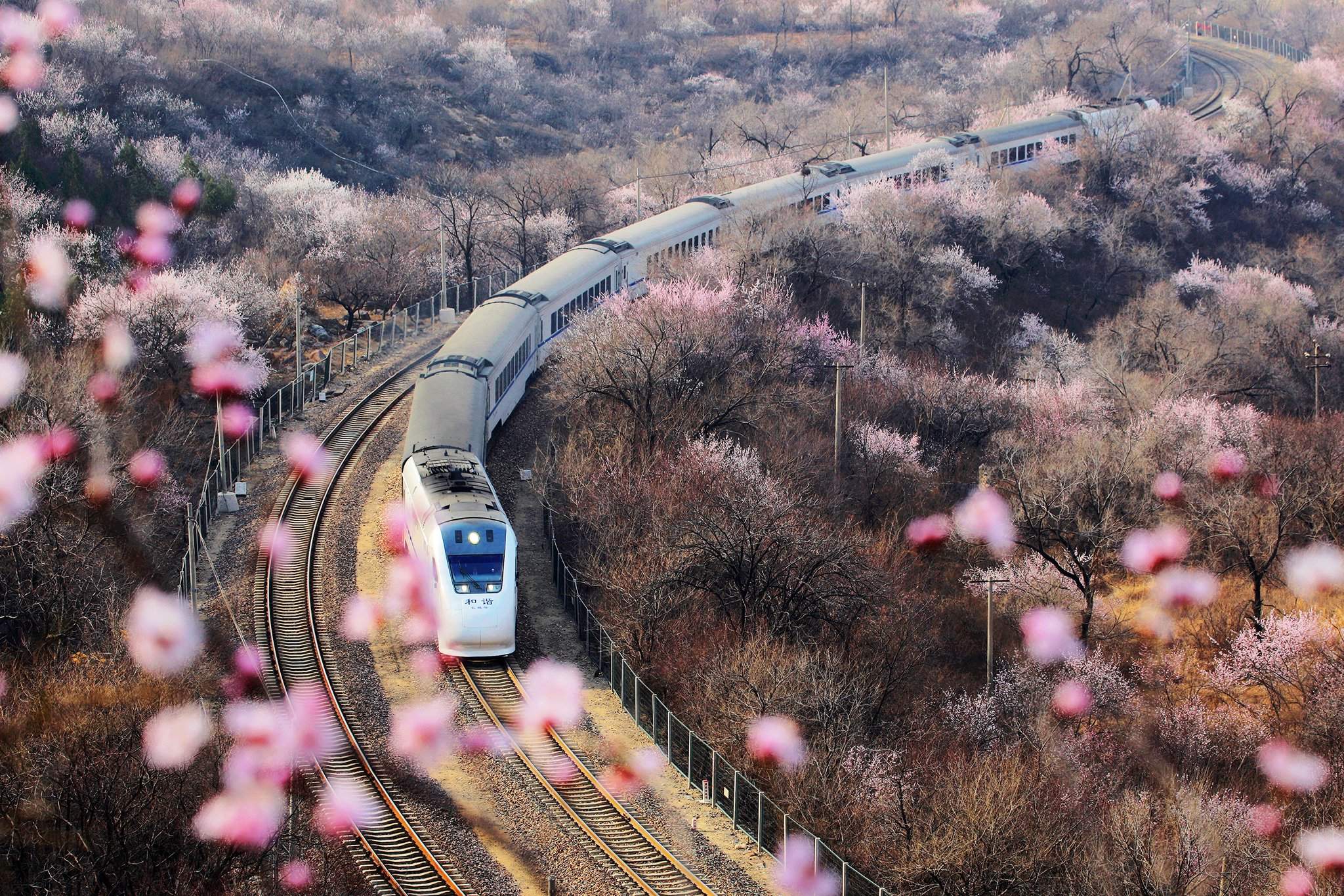 A cuanto viaja el tren bala en japon