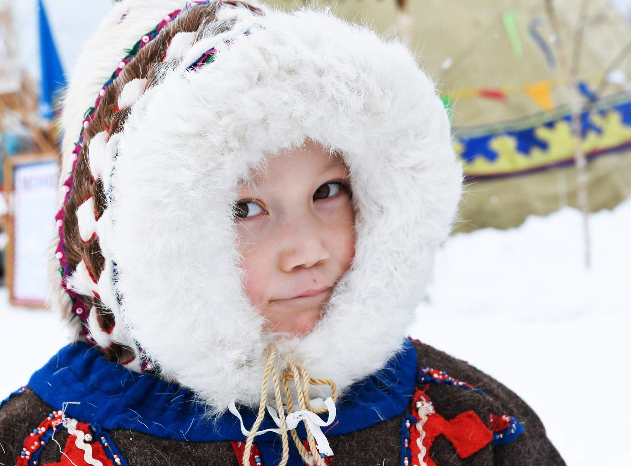 А олени — лучше: как на Крайнем Севере празднуют День оленевода |  Фотогалереи | Известия