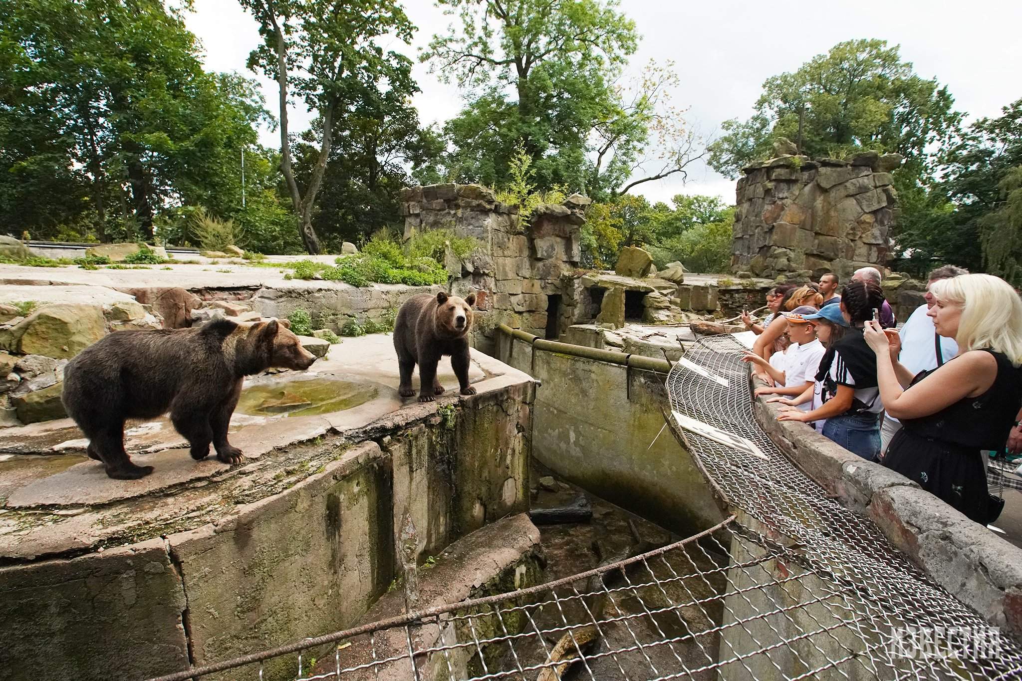 зоопарк калининград старые