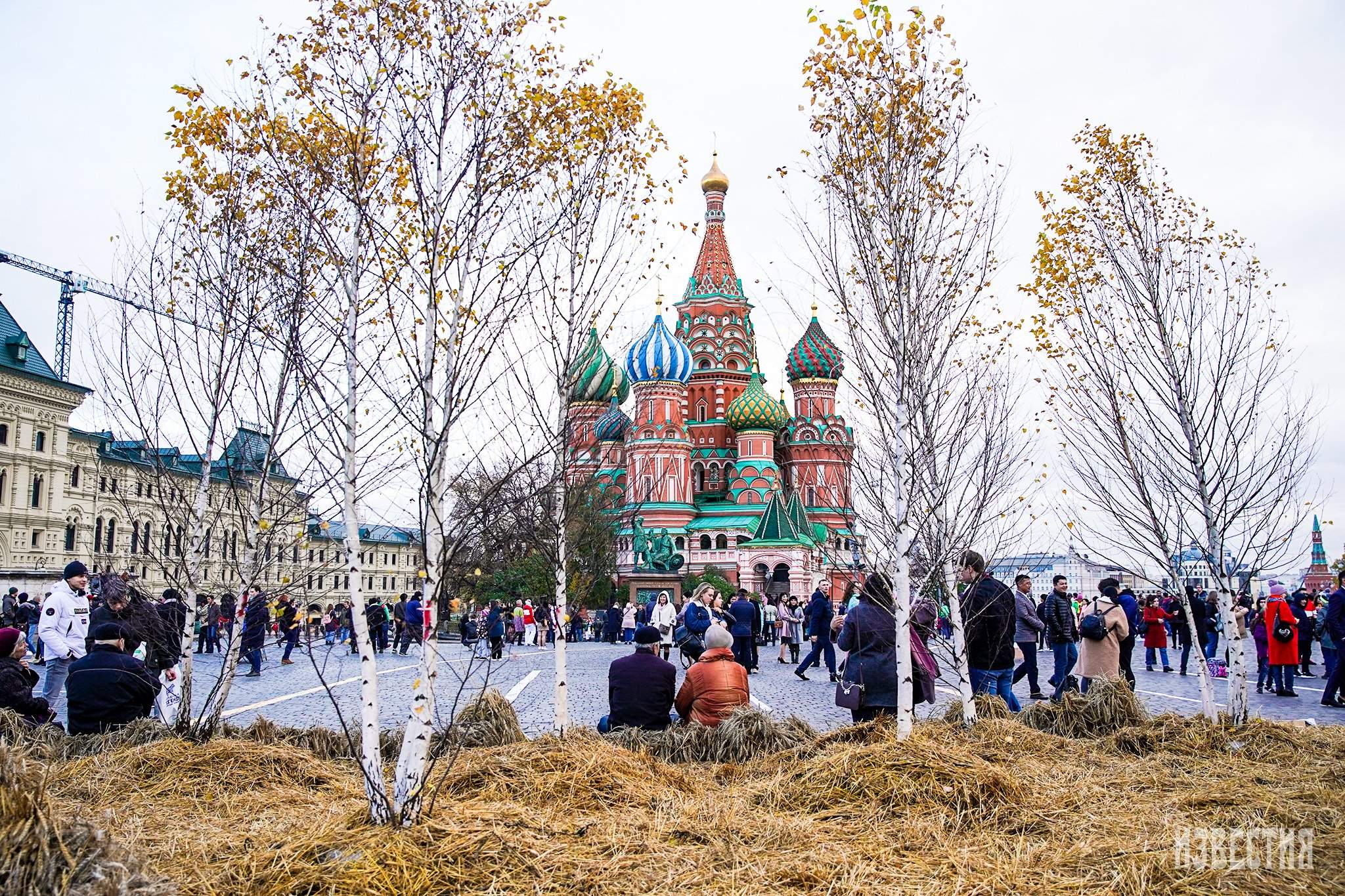 Лучшее в москве сегодня. Москва ноябрь 2020. Москва в ноябре. Погода в Москве. Ноябрьская Москва.