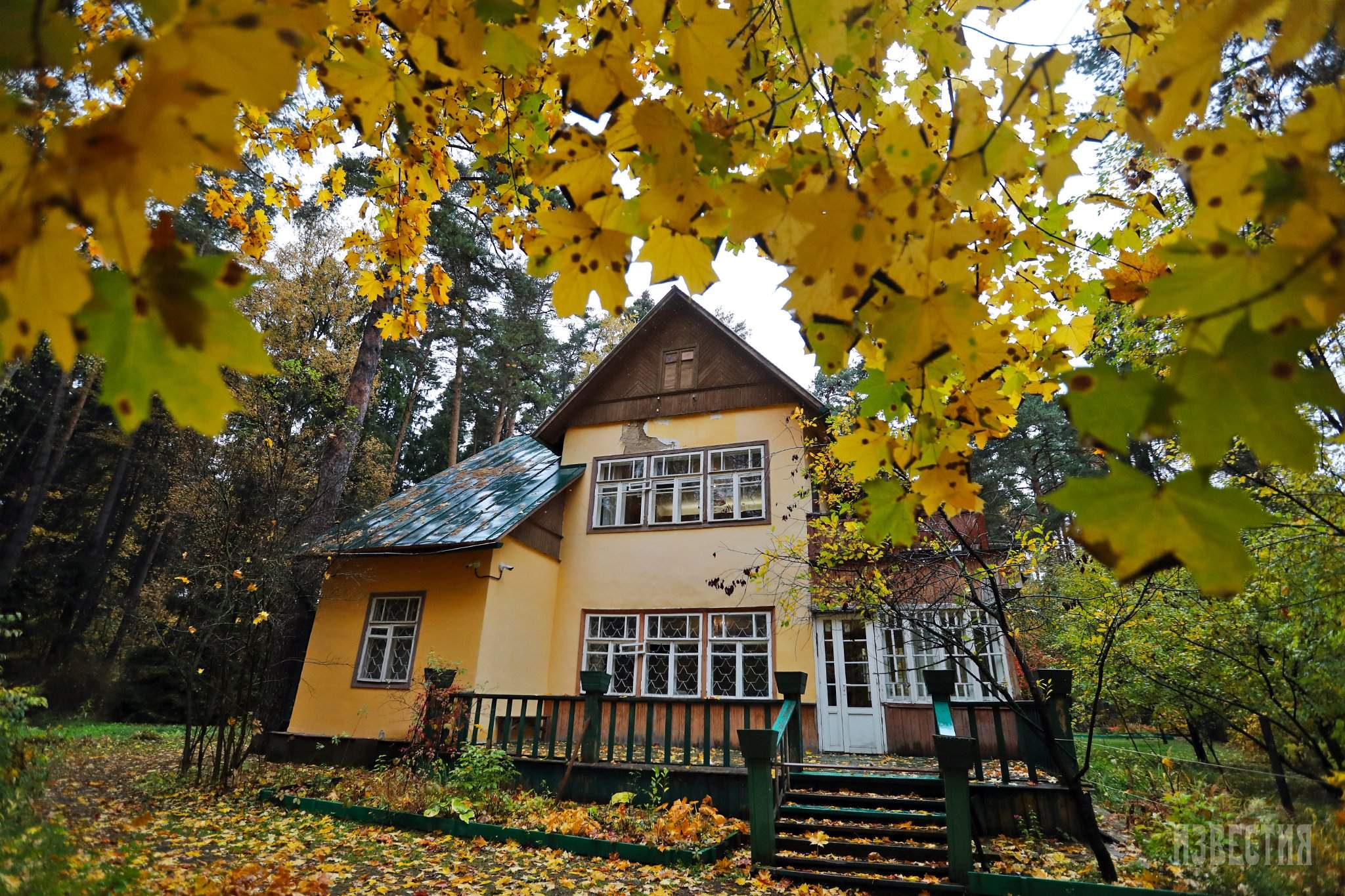 В гостях у сказки: дом-музей Чуковского в Переделкино | Фотогалереи |  Известия