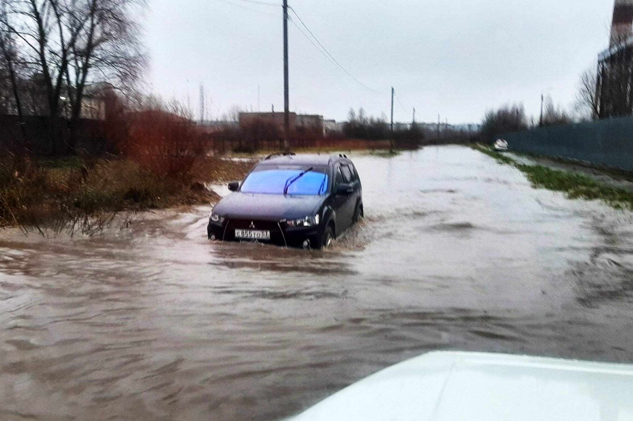 Новгородская область дождь