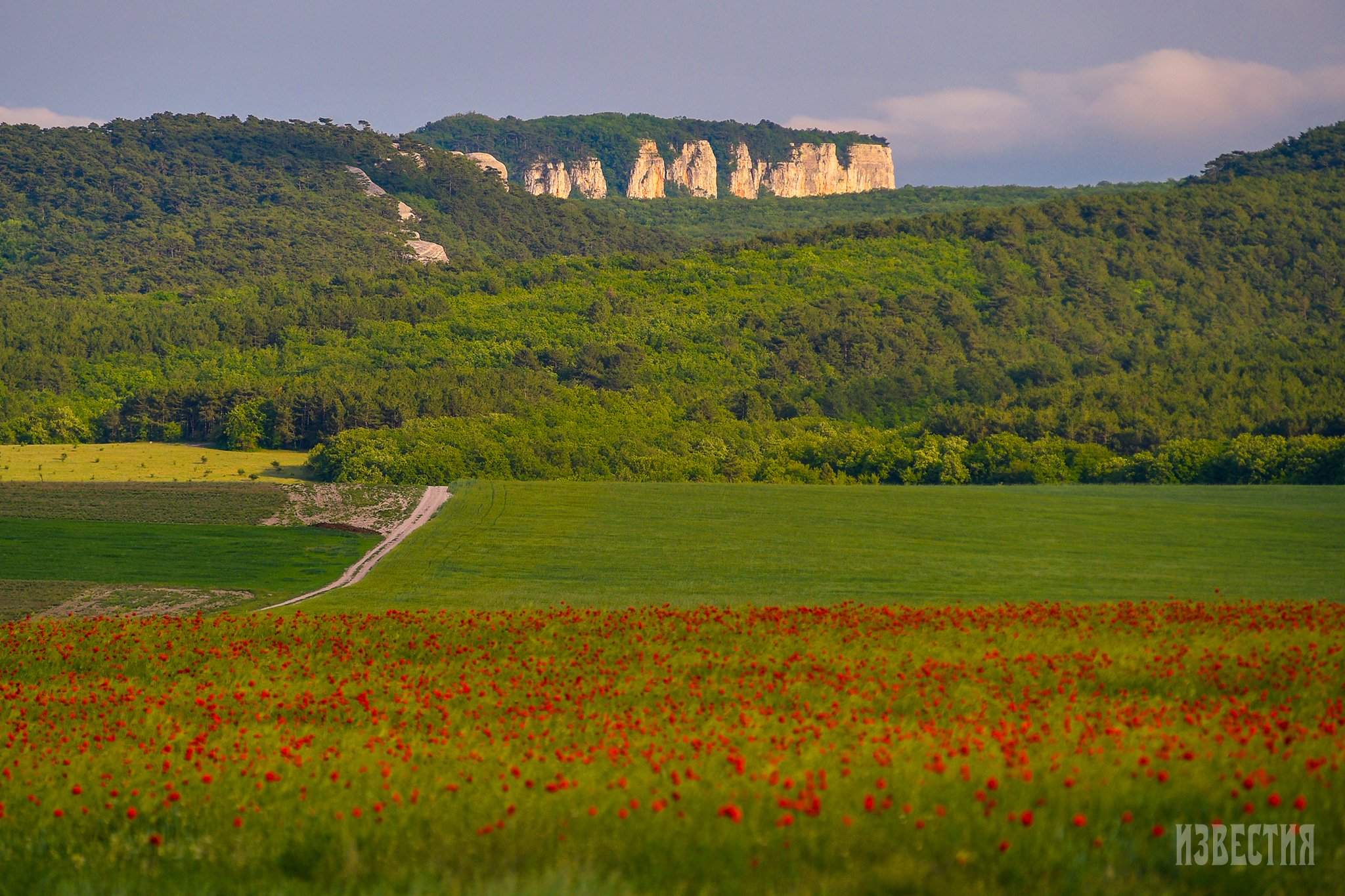 Погода в холмовке. Фото село Холмовка.