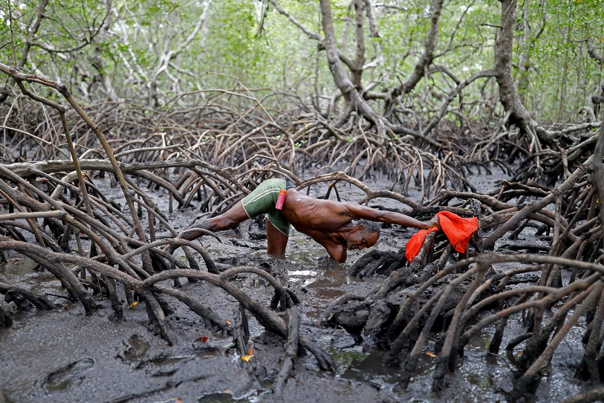 Аборигены в мангровых зарослях
