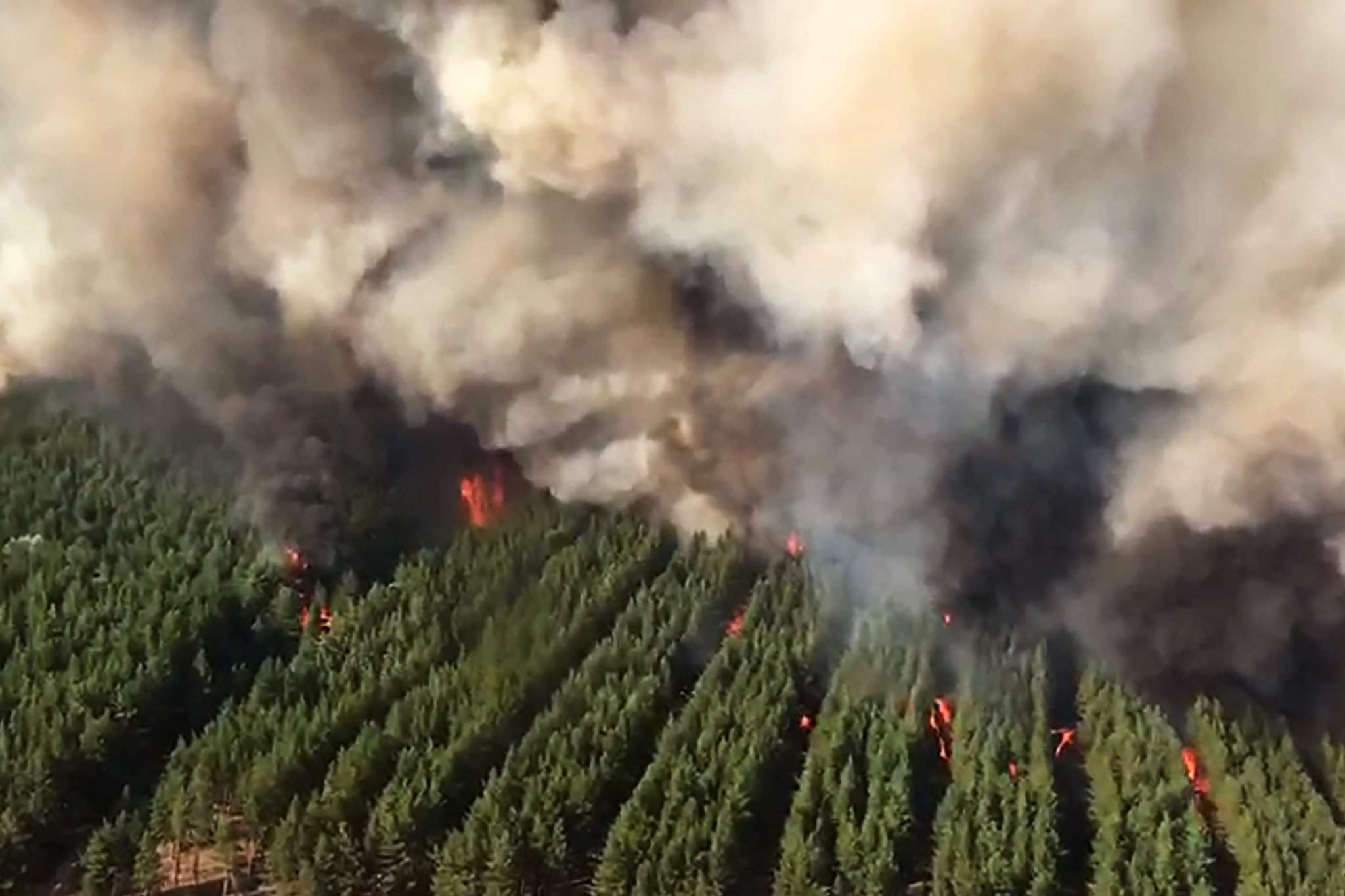 Пожары лесов в России 2021