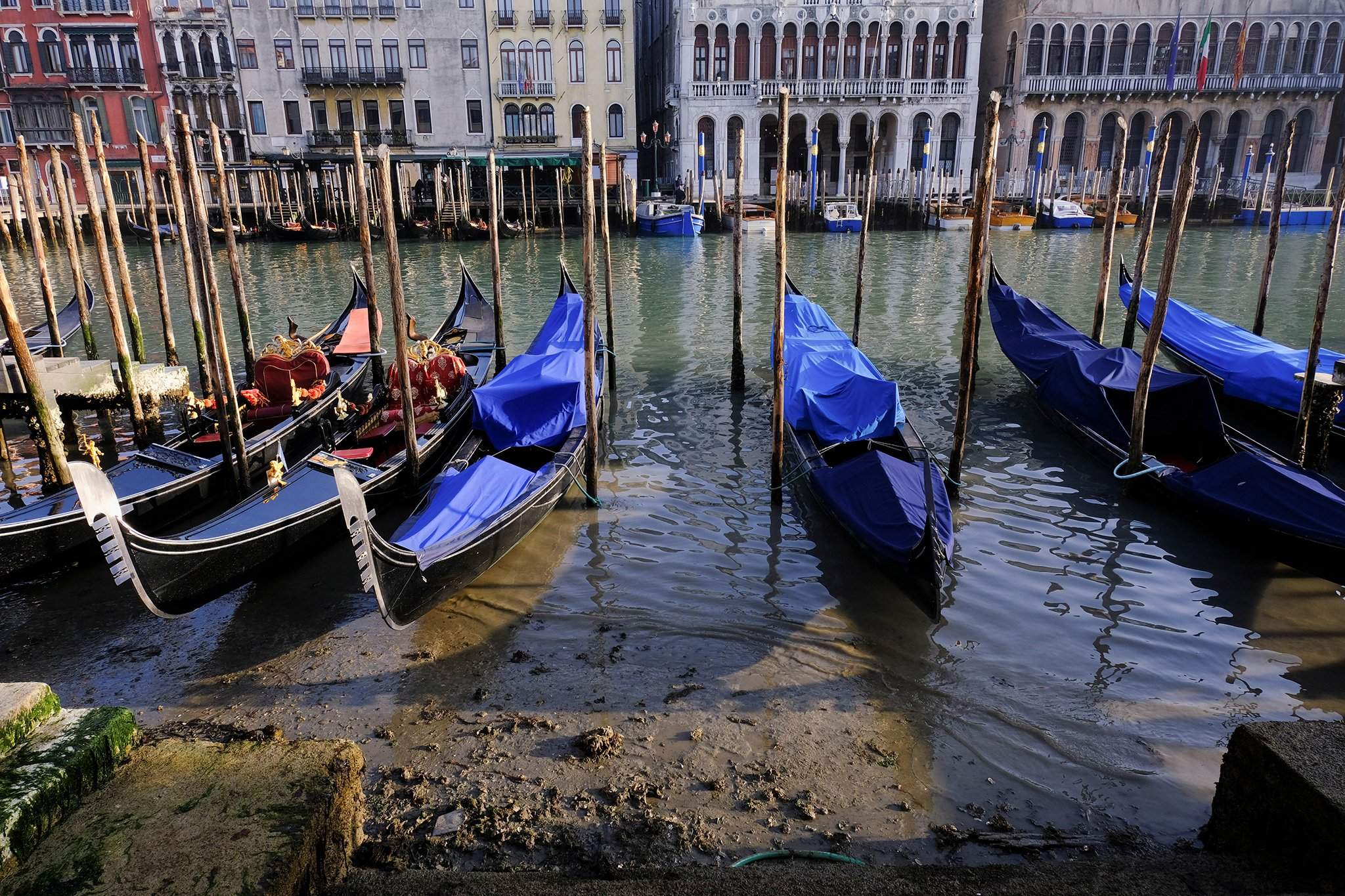 Венеция реальные фото