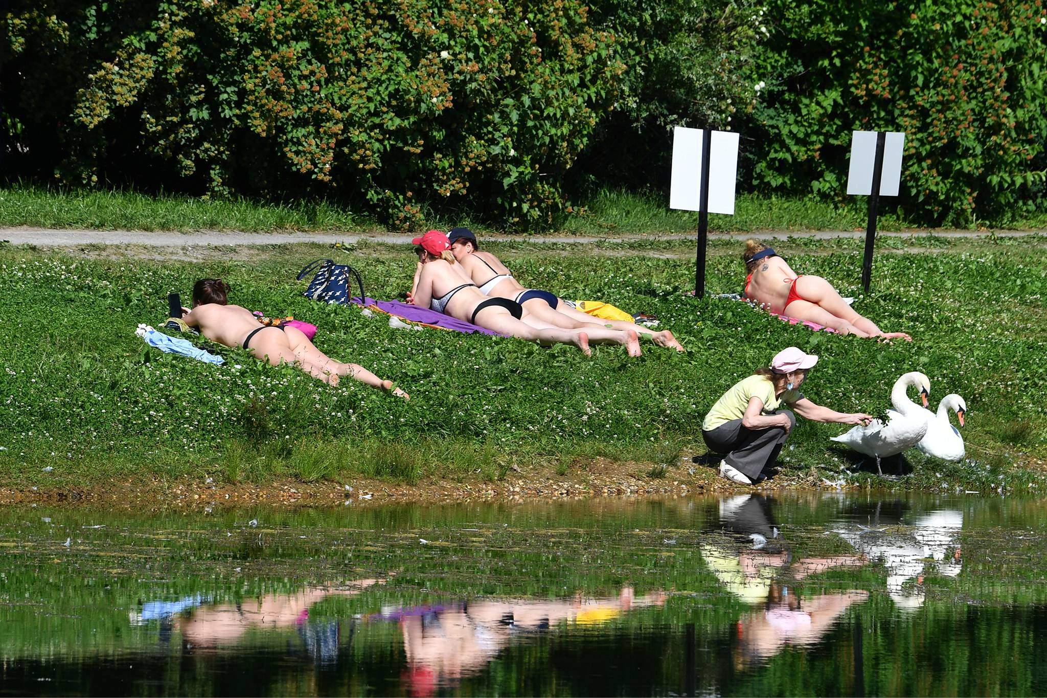 жара 2010 года в москве