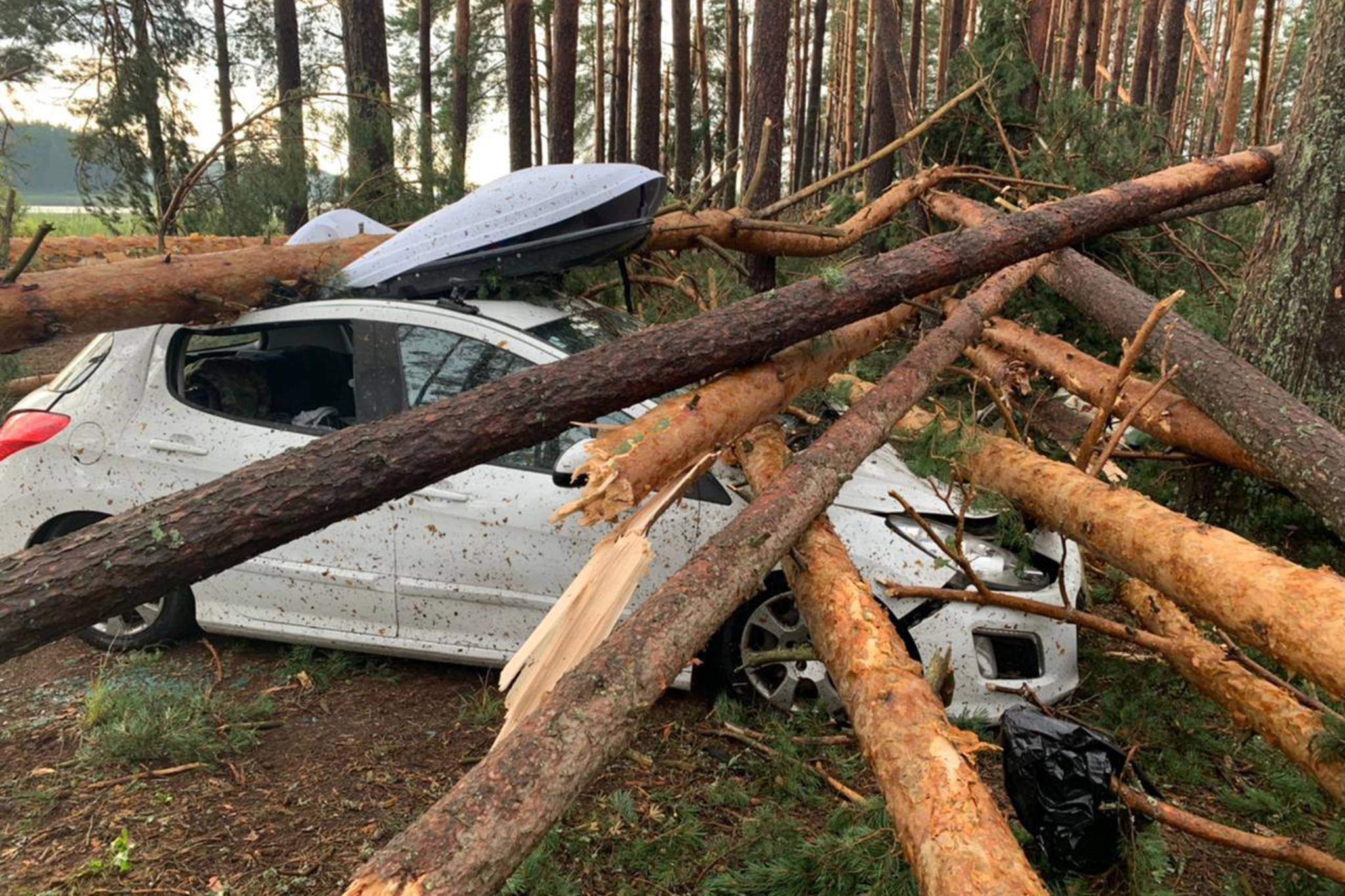 Ураган в москве последствия. Андреаполь ураган 2 августа 2021. Андреаполь Тверская область смерч. Торнадо в Твери 2021.