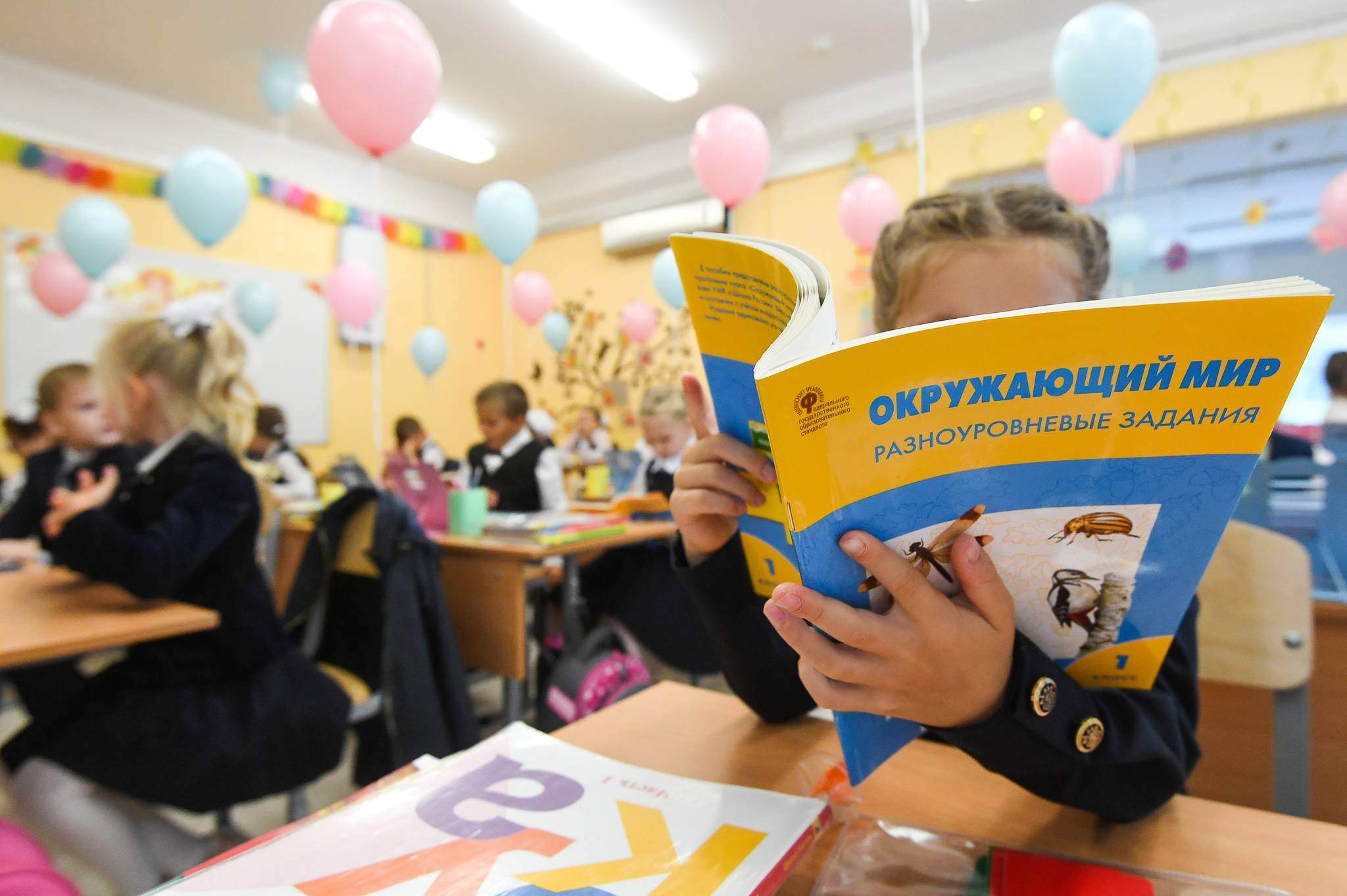 В школьную программу введут. Золотой стандарт образования. Единый стандарт образования. Последний год в школе. Единого стандарта школьников образования.