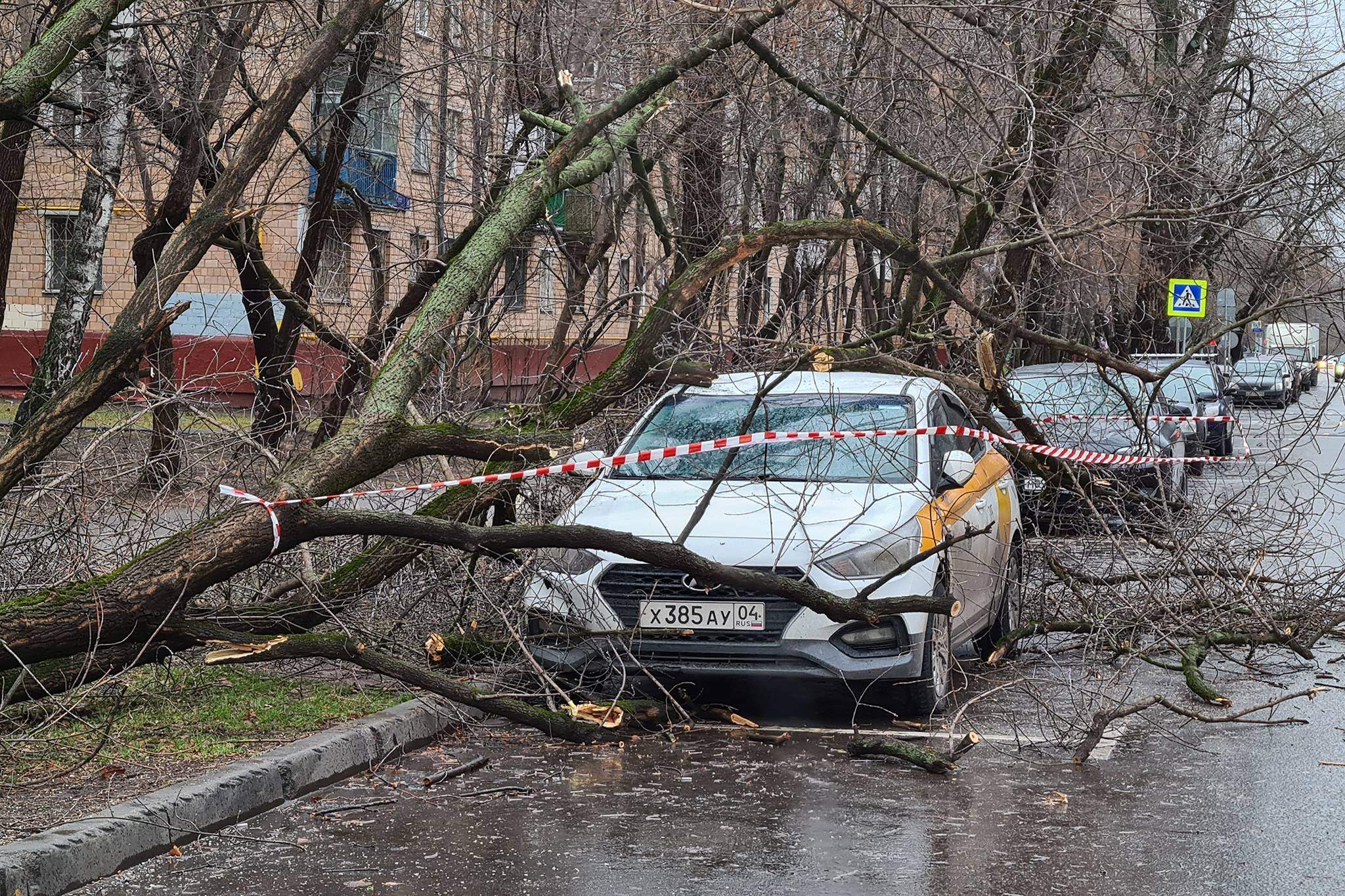 Ветерок сейчас