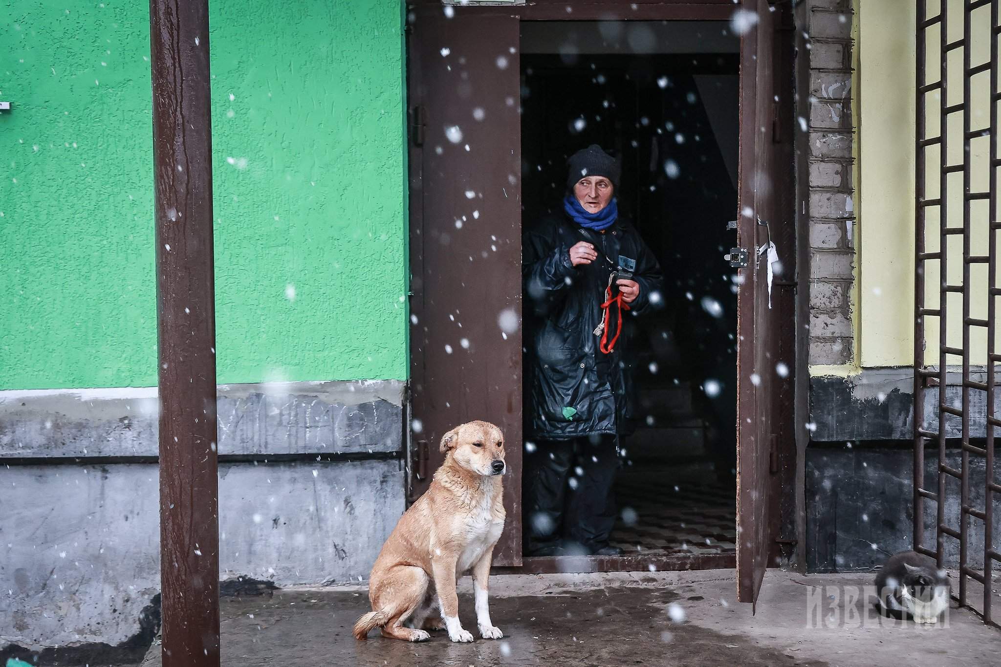 Счастье есть: силы ЛНР освободили город в Луганской области | Фотогалереи |  Известия