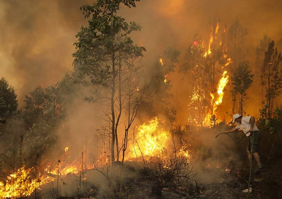 UBC experts on wildfires