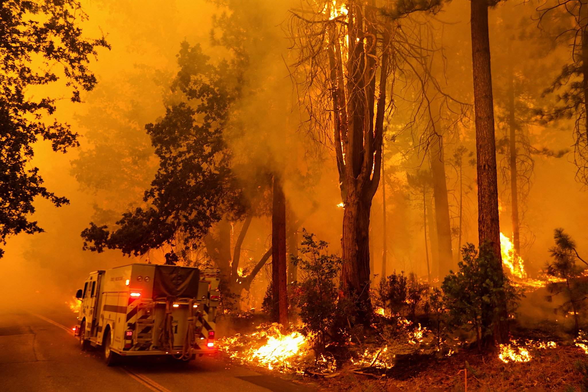 Лесной пожар в калифорнии. Лесные пожары. Пожары в Калифорнии. Горящий лес. Огонь пожар.