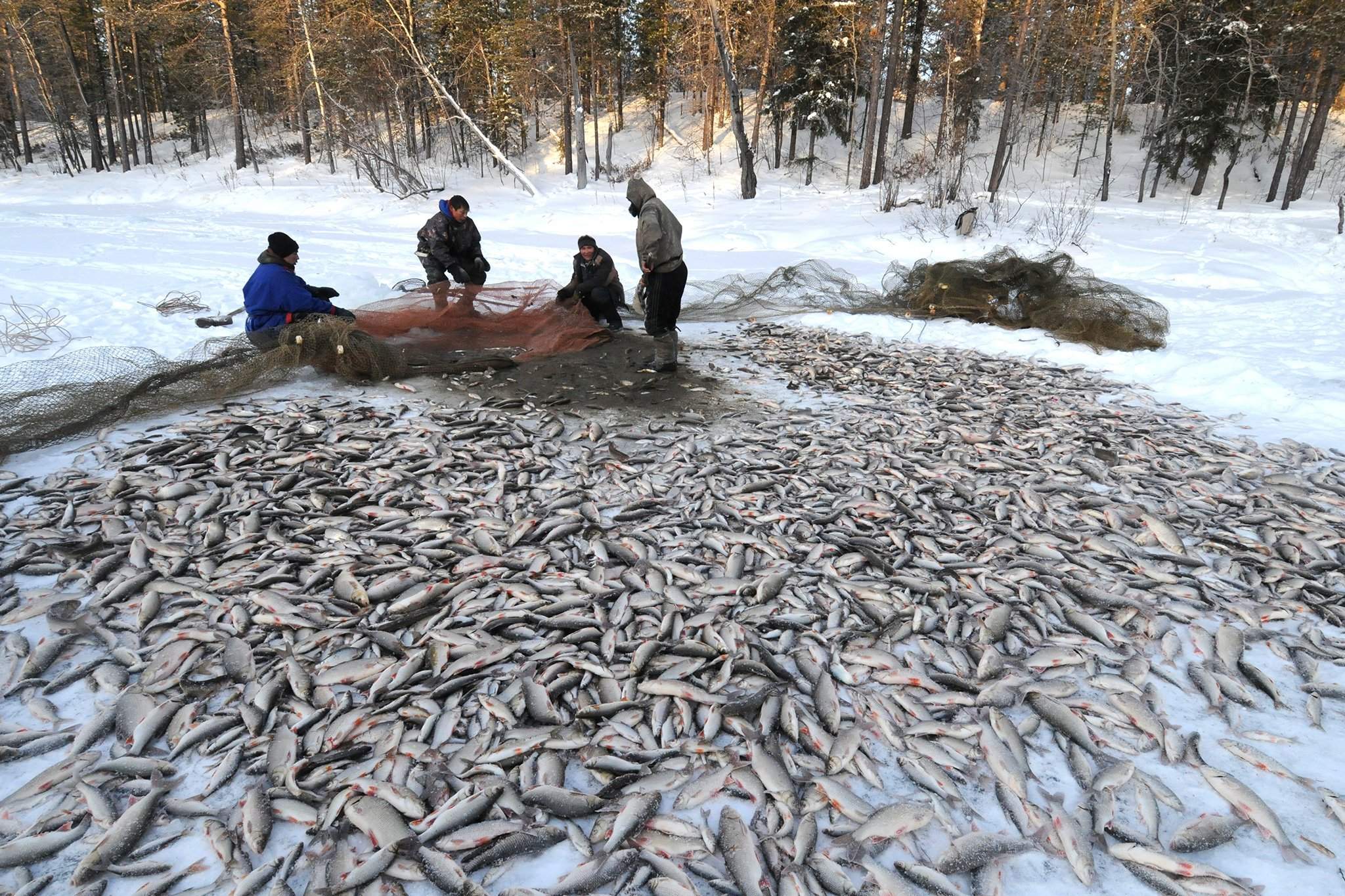 промысел на реке