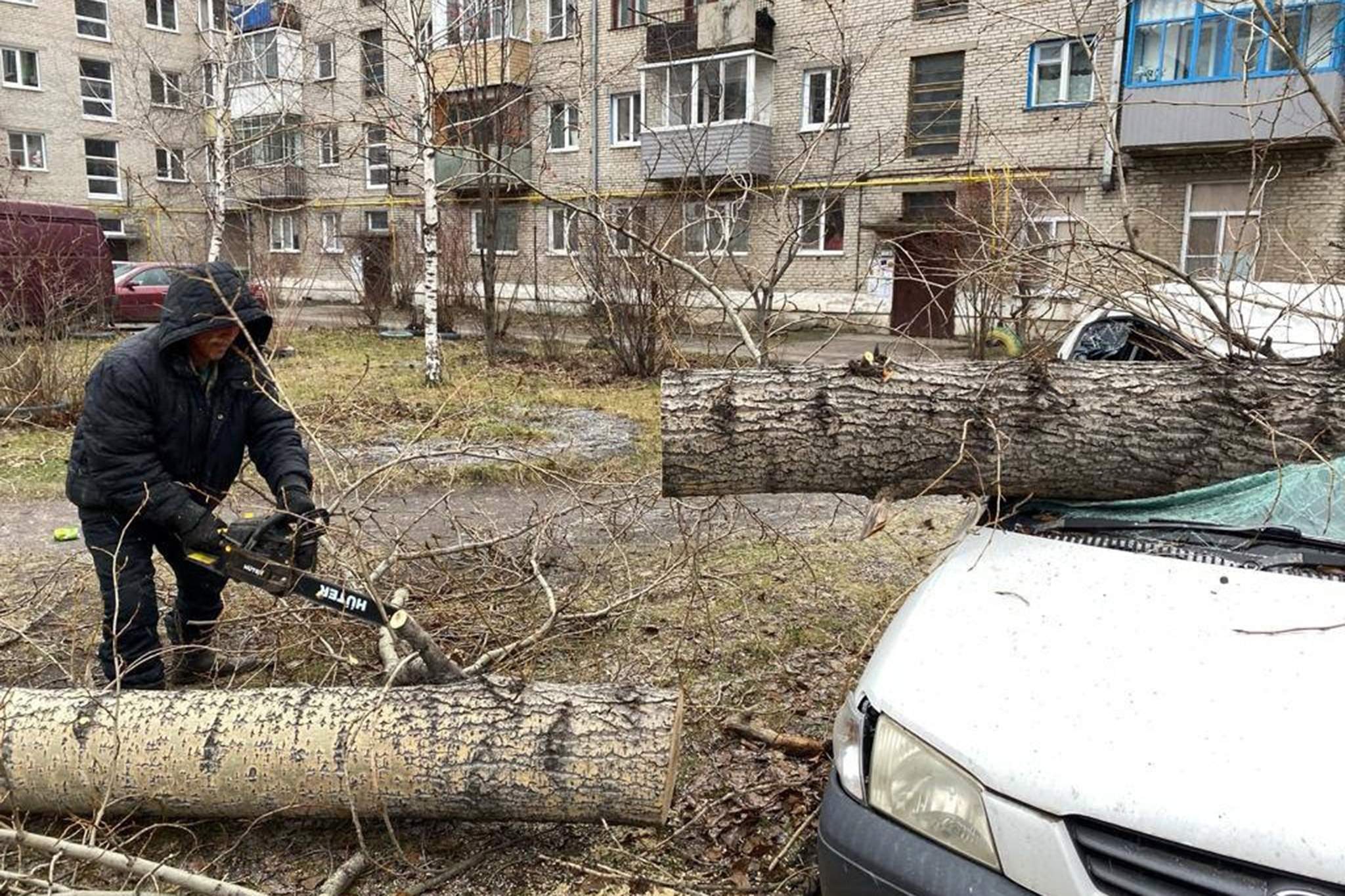 Ветер северный: по Сибири пронесся мощный ураган | Фотогалереи | Известия