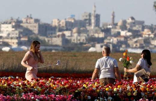 Сектор Газа останется без электричества