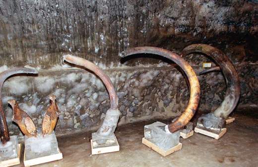 В Якутии оценят ущерб рекам в местах добычи бивней мамонтов