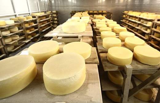 Россельхознадзор может ввести запрет на белорусские сыры и мясо