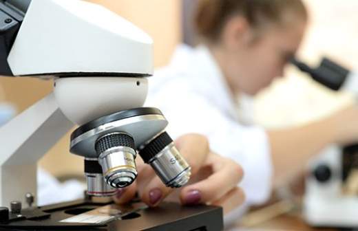 Теорию дополнили практикой