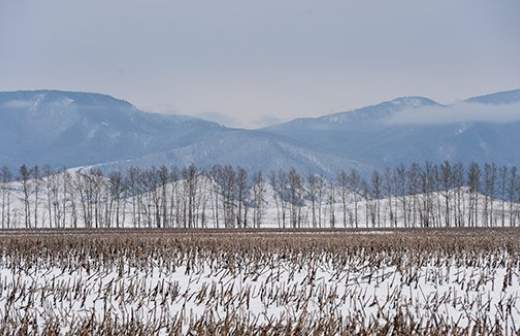 Земля в подарок
