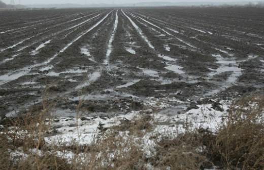 У недобросовестных владельцев изымут сельхозземли