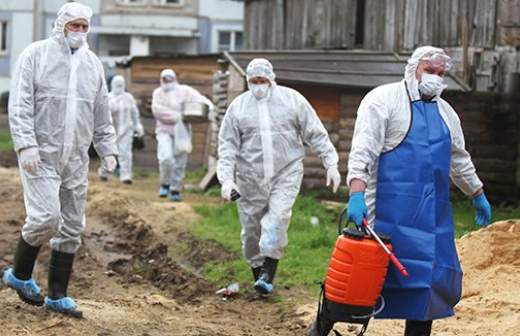 Чума обошлась России в миллиарды