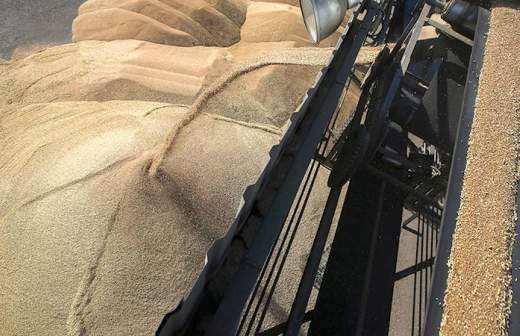 Экспорт пшеницы в Турцию вырос в четыре раза