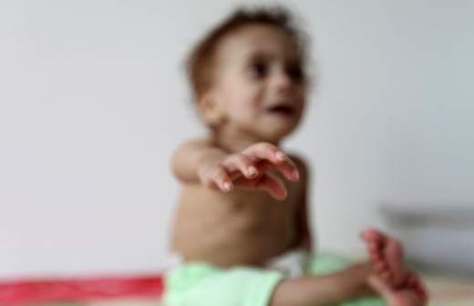 Аномальная погода довела мир до неурожая